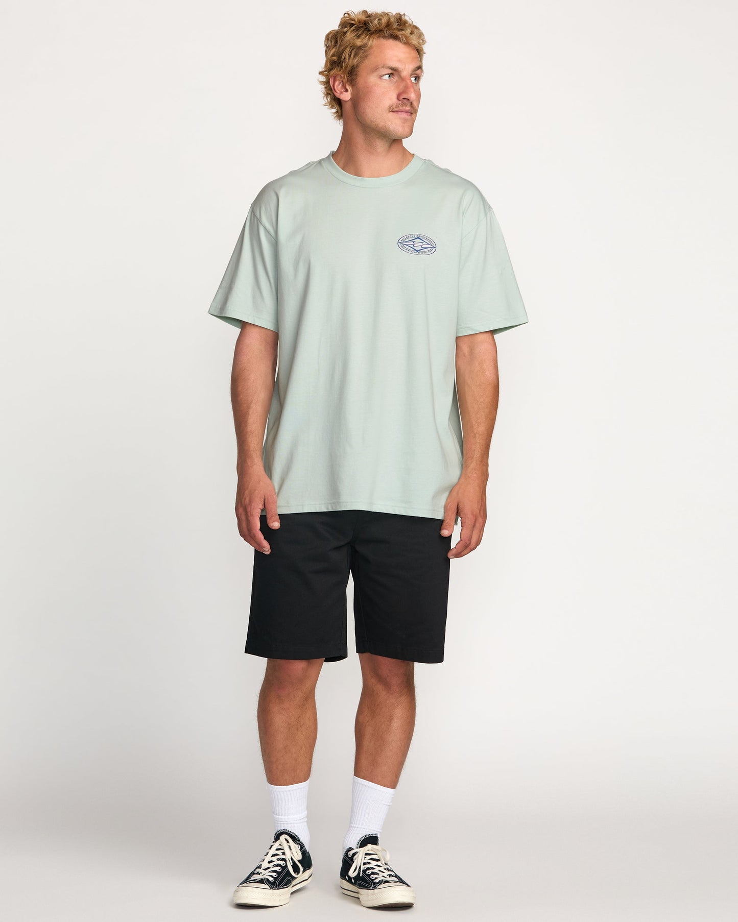 Diamond Vision Regular Tee - Ash Blue