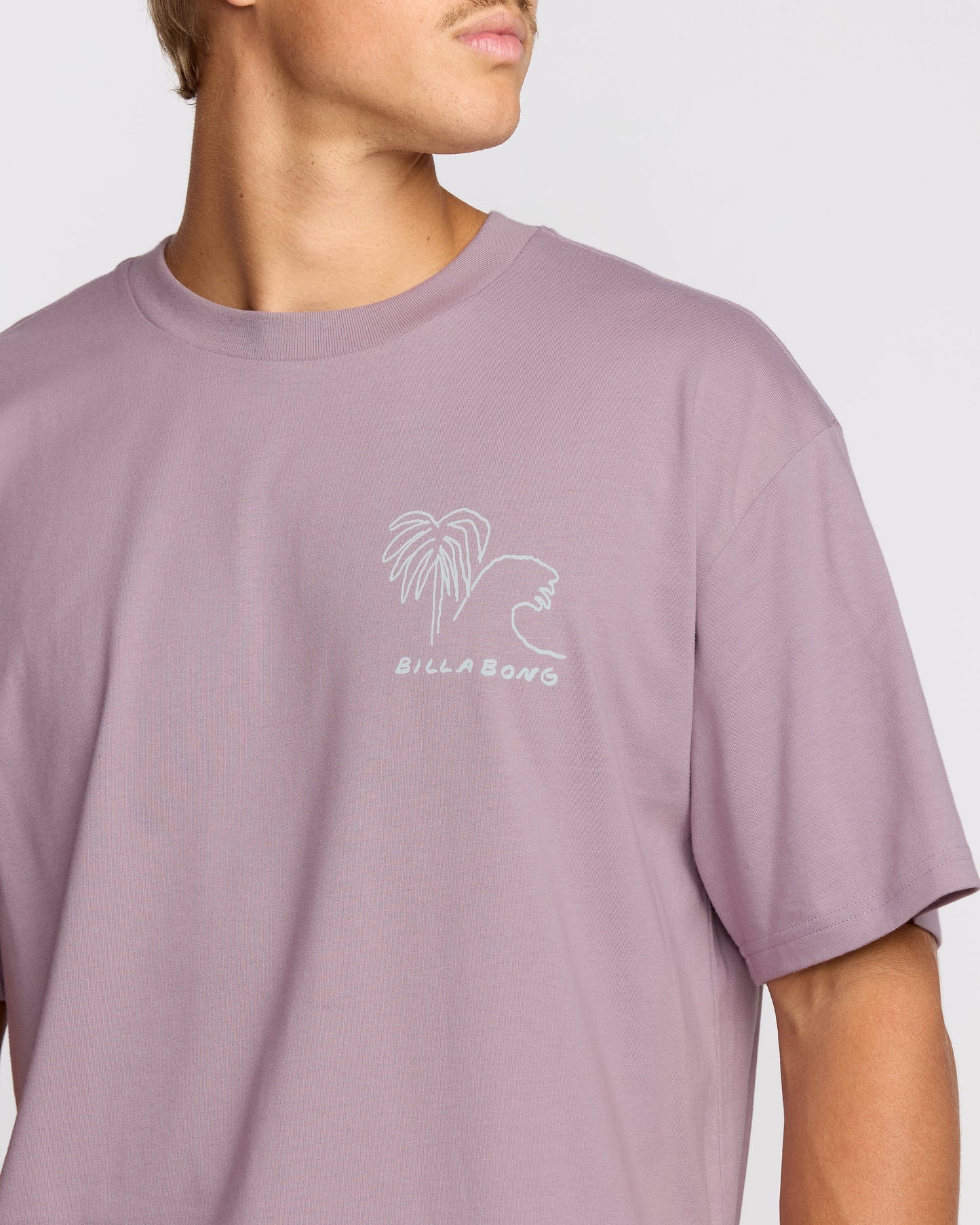 Scenes Regular Short Sleeve T-Shirt - Purple Ash
