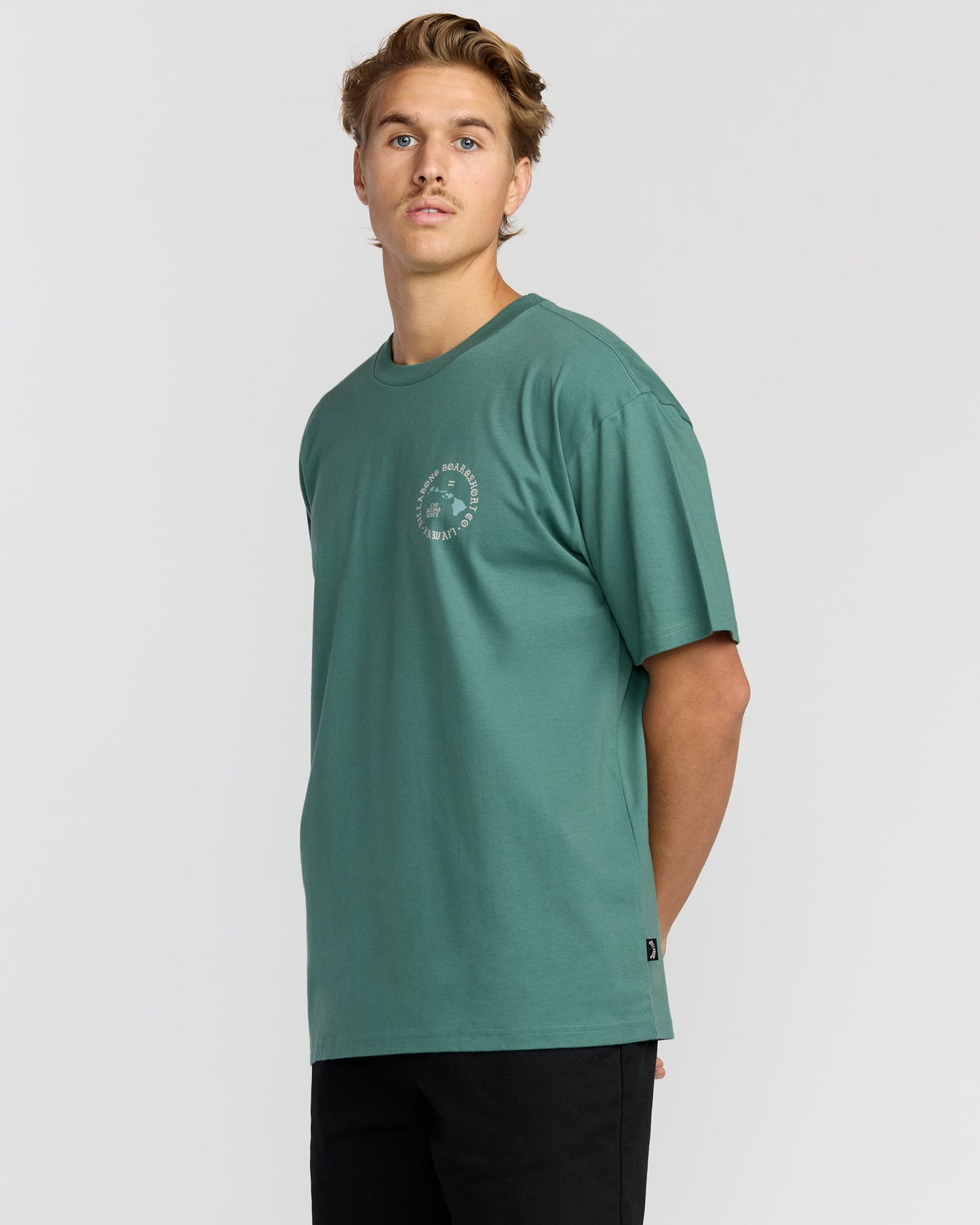 Aloha Island Hi Regular Short Sleeve T-Shirt - Sage Green