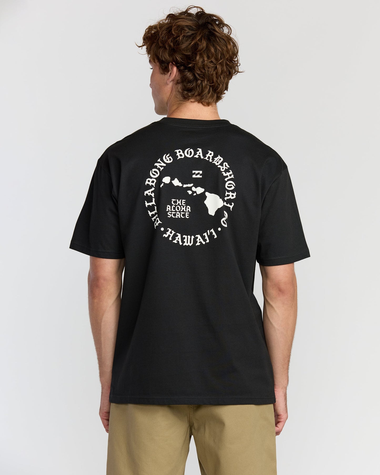 Aloha Island Hi Regular Short Sleeve T-Shirt - Washed Black