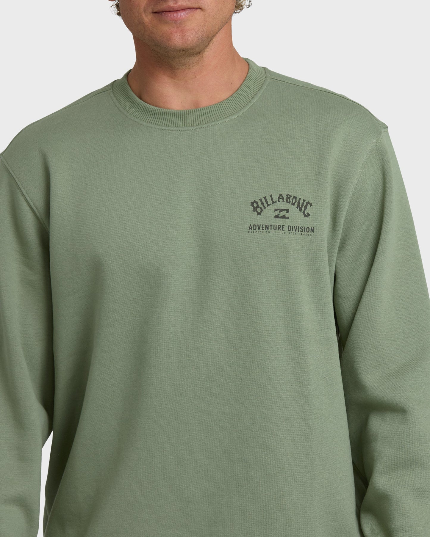 Compass Crew Sweatshirt - Sage