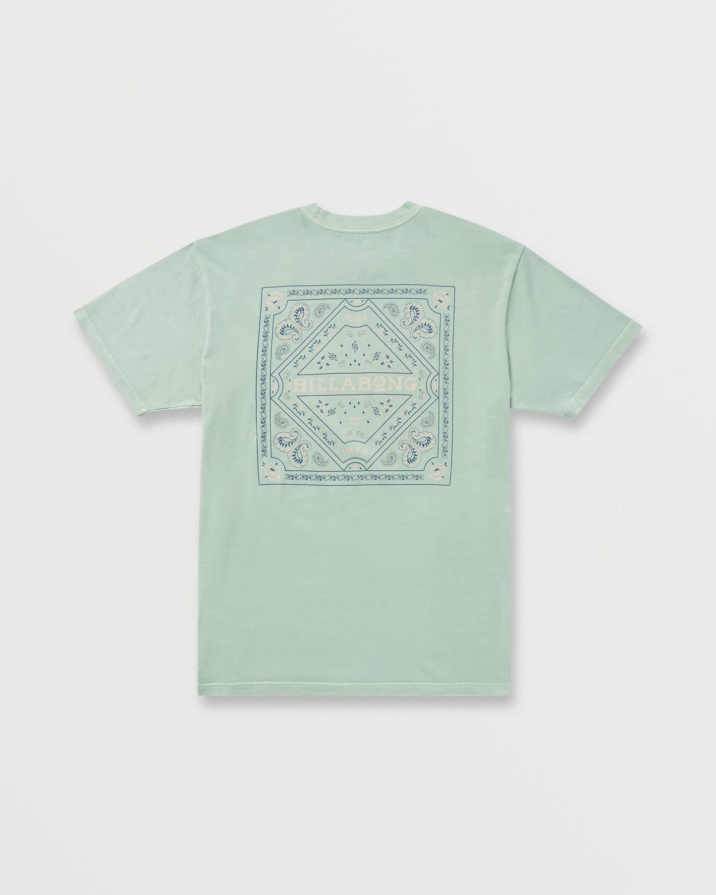 Paise Haze Premium Wave Wash Tee - Mist Green