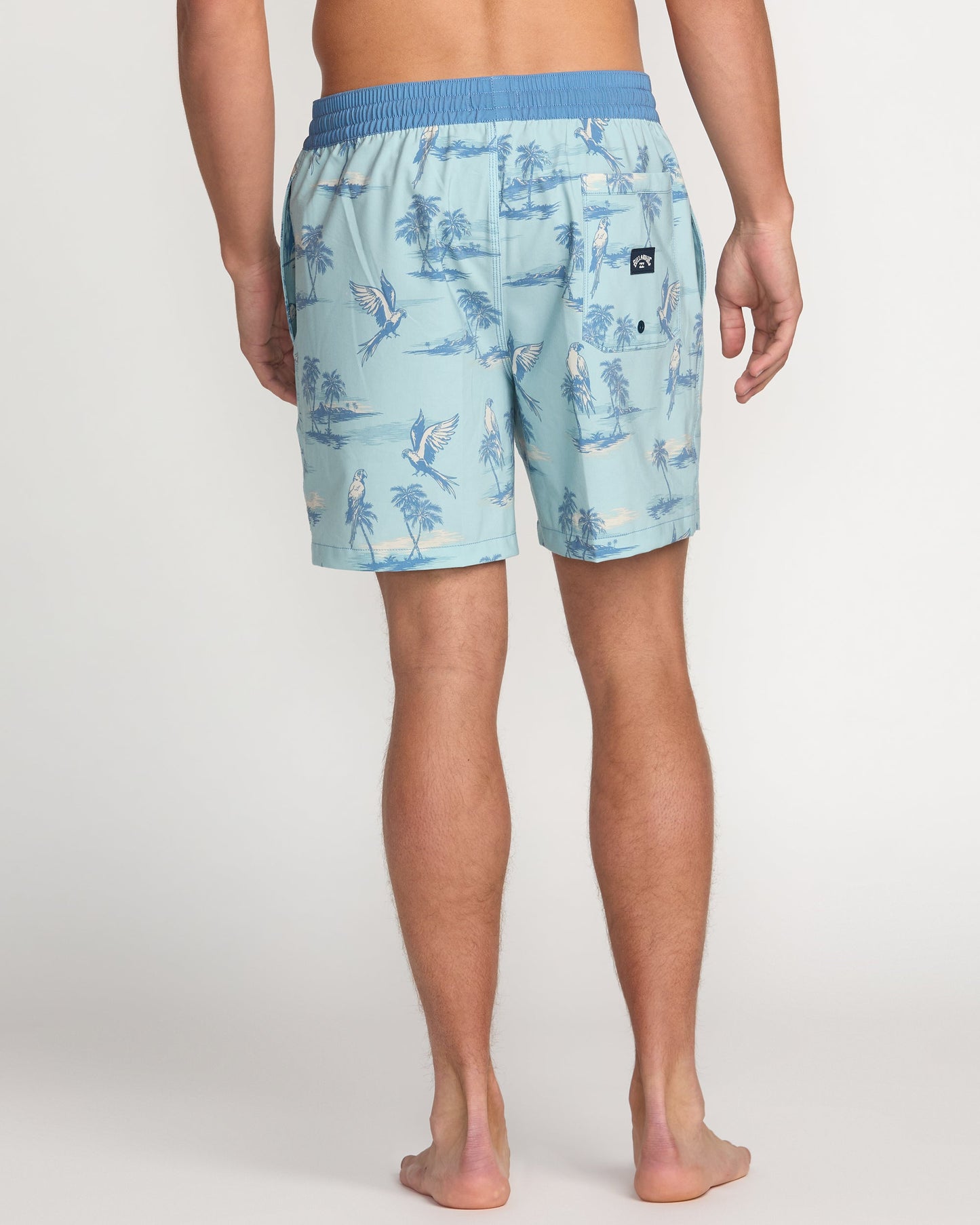 Good Times Laybacks 16" Trunks - Dusty Blue