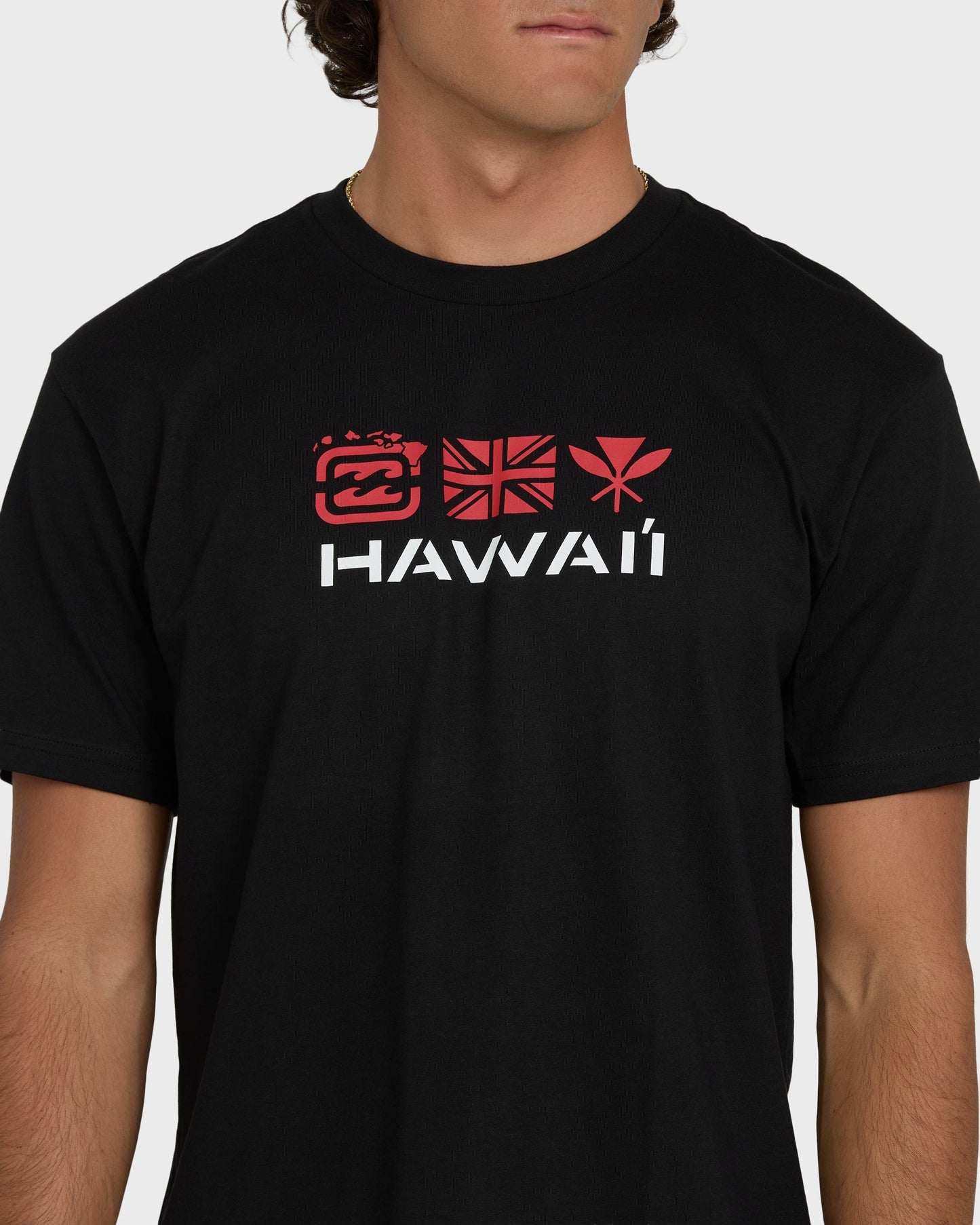 Kahili Hawaii Regular Short Sleeve Tee - Black