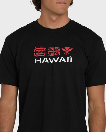 Kahili Hawaii Regular Short Sleeve Tee - Black
