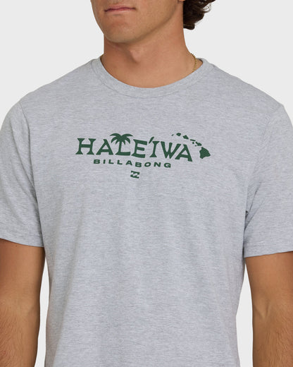 Haleiwa Palm Short Sleeve T-Shirt - Cloud Gray