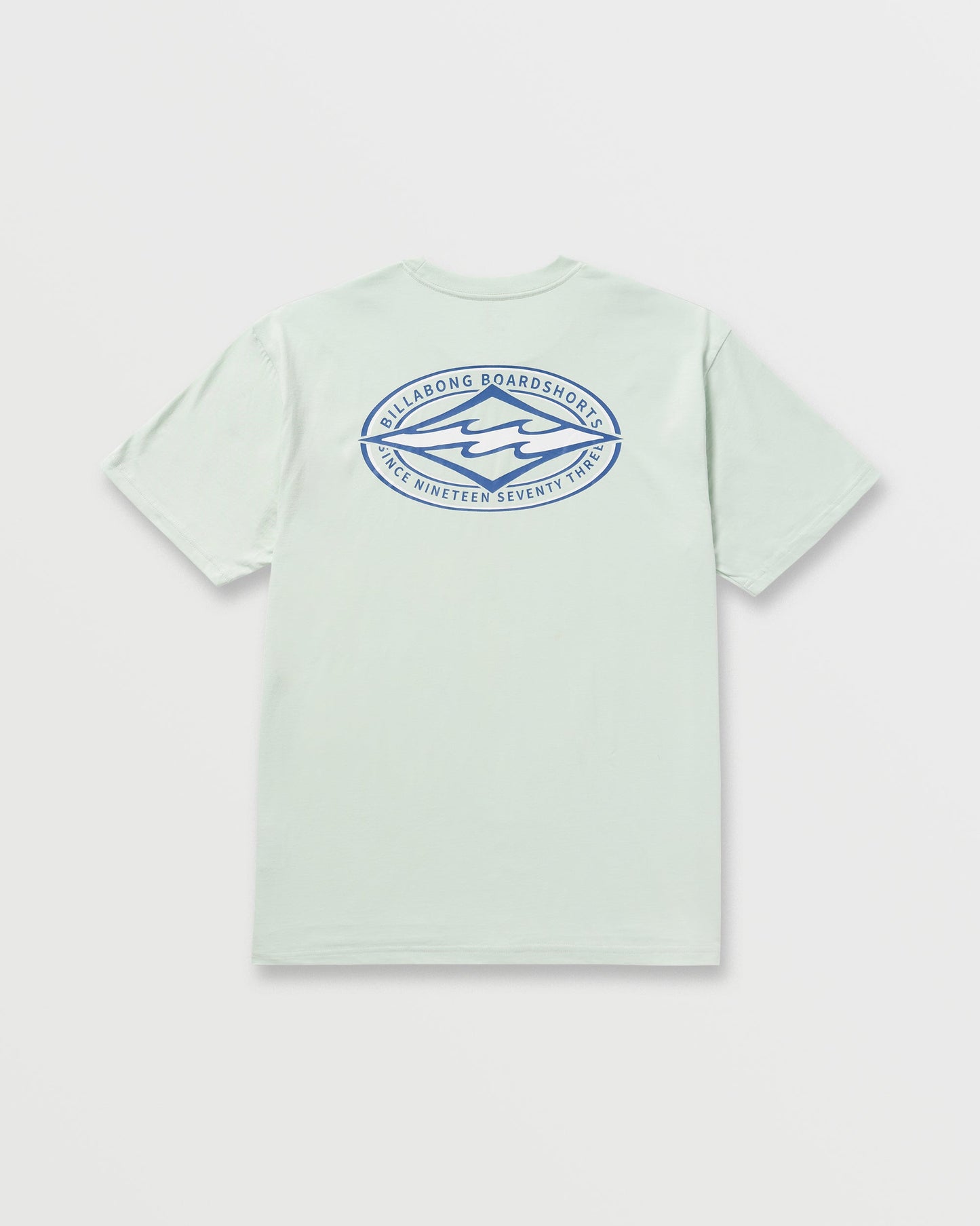 Diamond Vision Regular Tee - Ash Blue