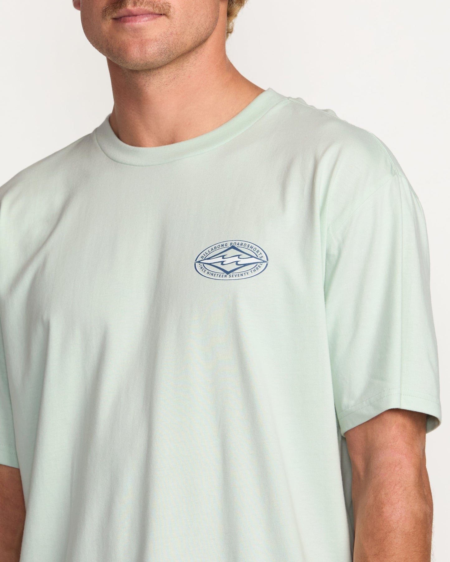 Diamond Vision Regular Tee - Ash Blue