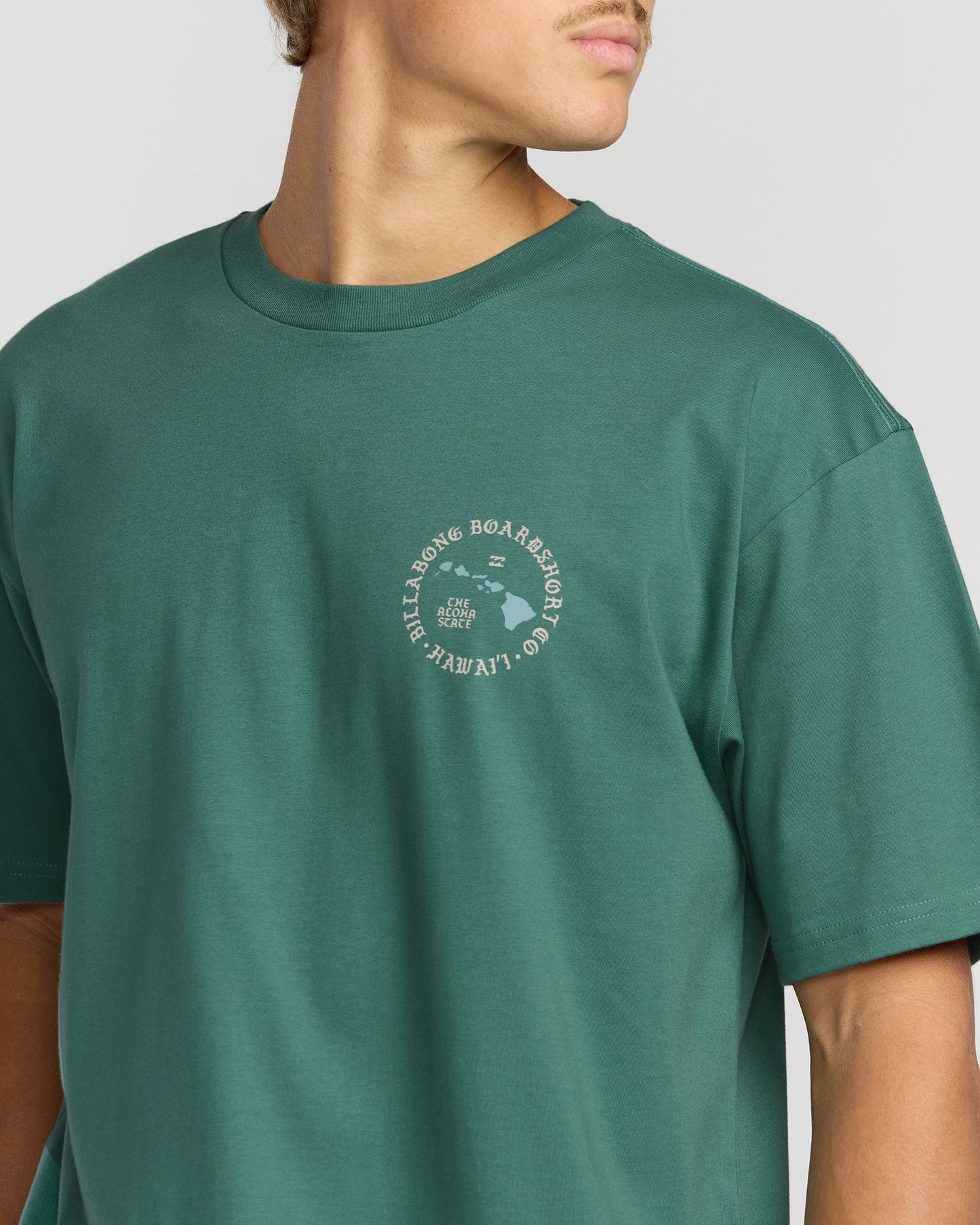 Aloha Island Hi Regular Short Sleeve T-Shirt - Sage Green
