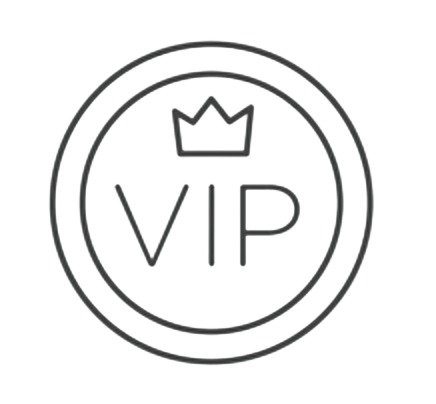VIP Shipping - Protection + Priority processing